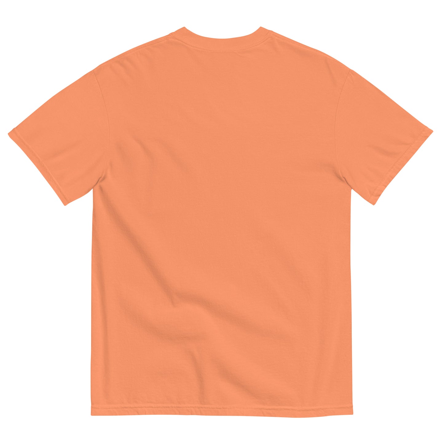 "Faith of a Mustard Seed" black font Tee